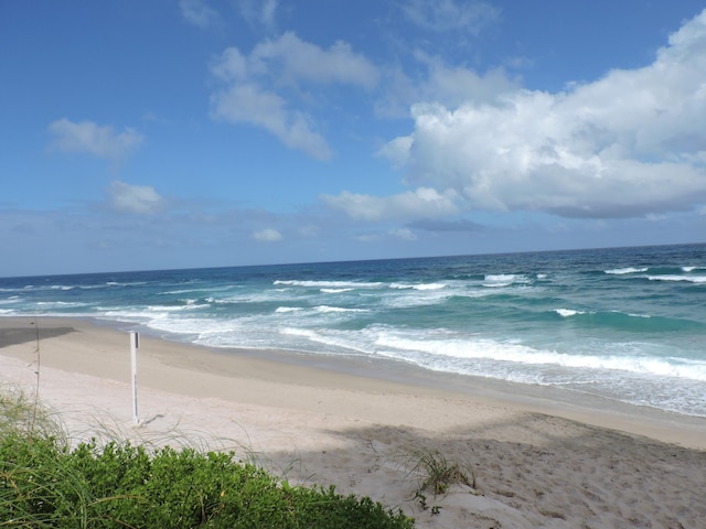 water view featuring a beach view