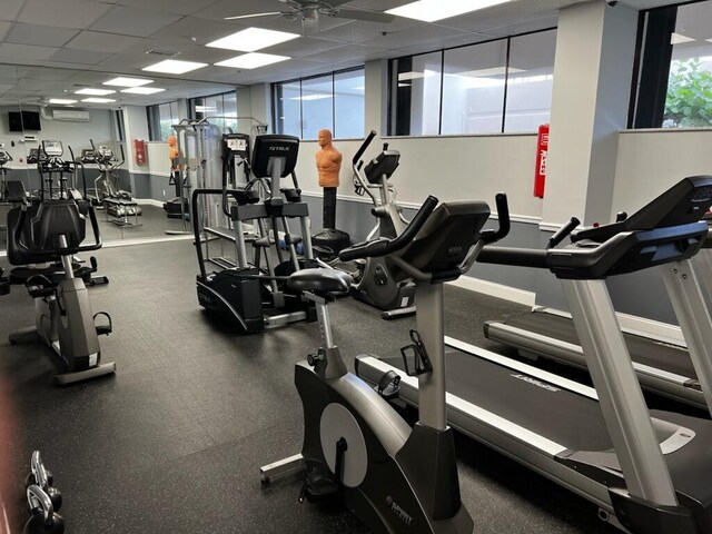 workout area with ceiling fan, a paneled ceiling, and a wall mounted air conditioner