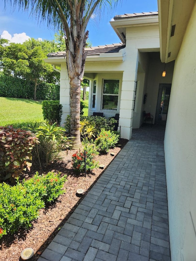 doorway to property featuring a yard