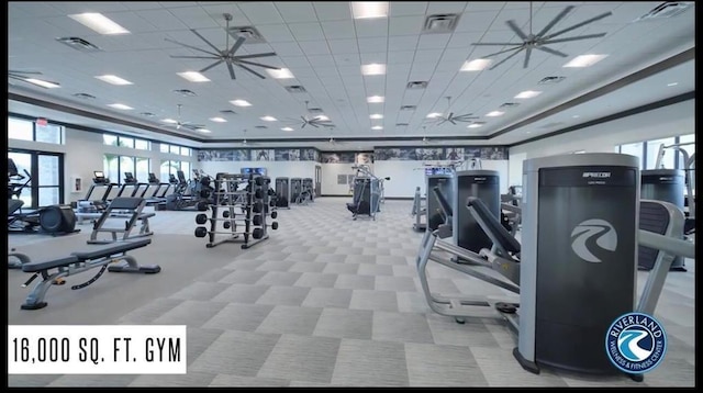 gym featuring carpet, plenty of natural light, and ceiling fan