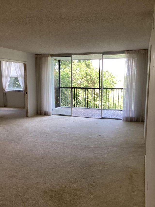 spare room featuring light carpet and a textured ceiling