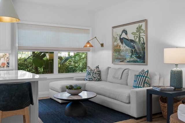 living area featuring wood finished floors