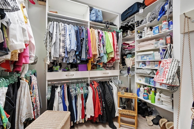 view of spacious closet