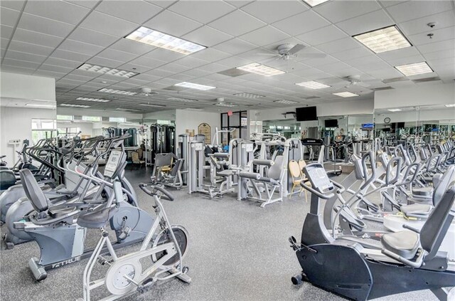 gym featuring ceiling fan and a drop ceiling