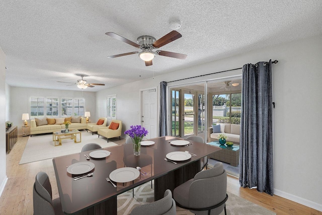 dining room with ceiling fan, light wood-type flooring, and a textured ceiling