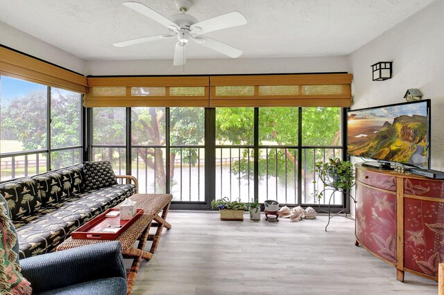 interior space featuring ceiling fan and light wood-type flooring