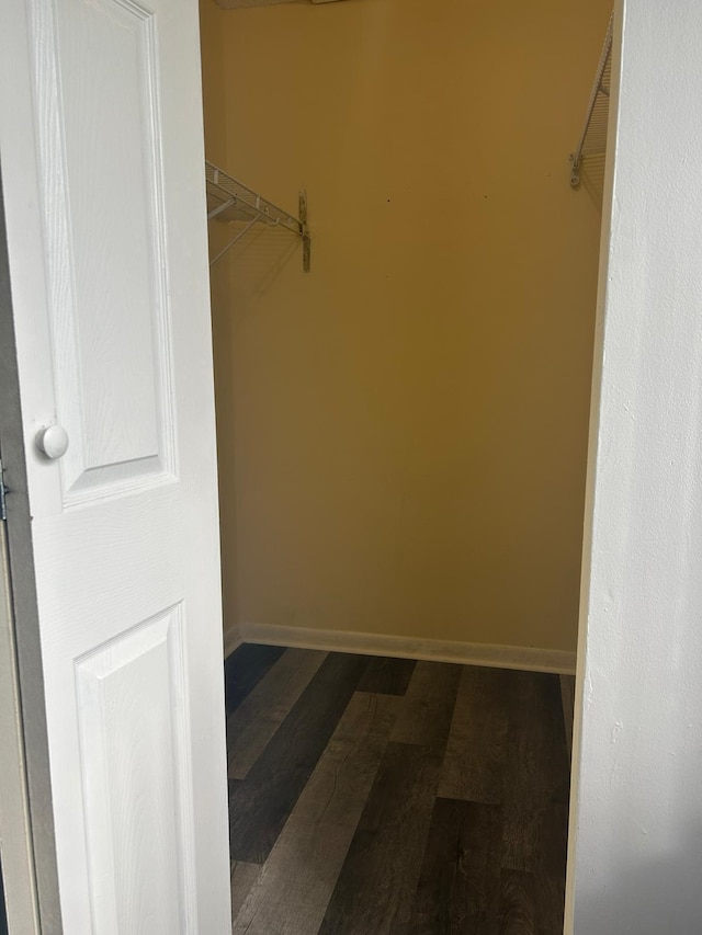 spacious closet featuring dark wood-type flooring