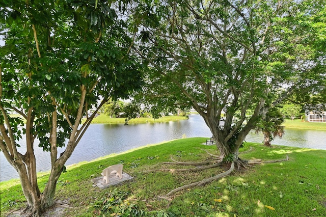 view of water feature