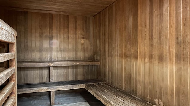 view of sauna featuring wooden walls and wood ceiling