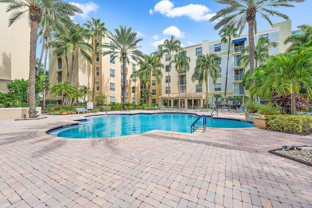 view of swimming pool featuring a patio