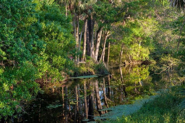 view of local wilderness with a water view and a view of trees