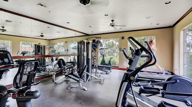 workout area with visible vents, crown molding, and a textured ceiling