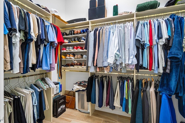 spacious closet featuring wood-type flooring