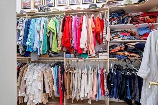 walk in closet featuring hardwood / wood-style flooring