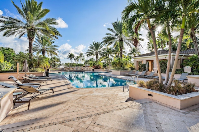 view of pool with a patio area