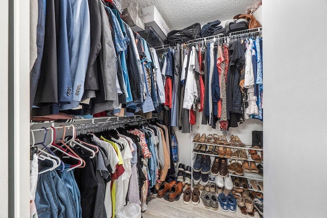 view of spacious closet