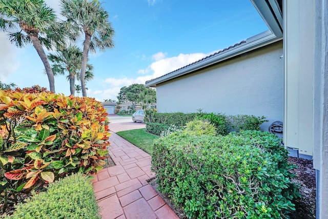 view of yard featuring a patio