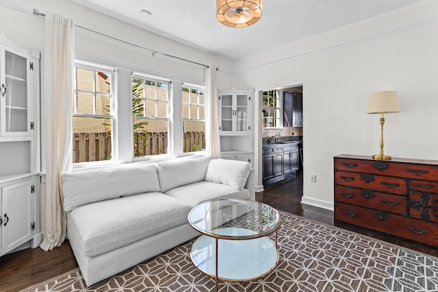 living room with dark hardwood / wood-style flooring