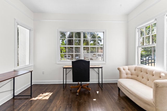 home office featuring dark hardwood / wood-style floors and a healthy amount of sunlight