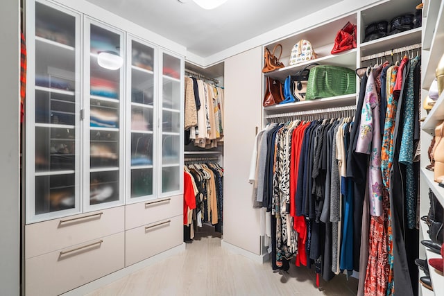 view of walk in closet