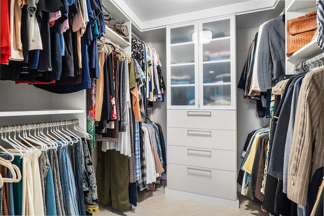 view of spacious closet