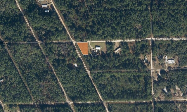 0 Hickory Nut Trl, Satsuma FL, 32189 land for sale