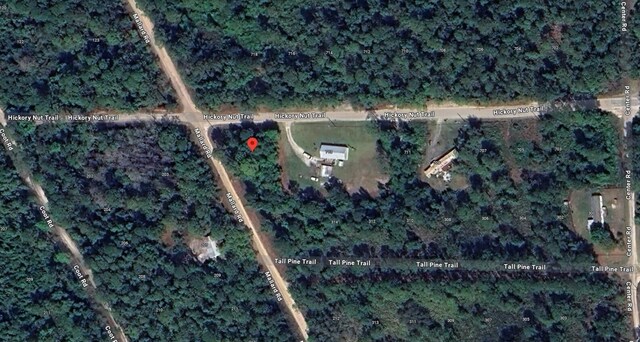 Listing photo 2 for 0 Hickory Nut Trl, Satsuma FL 32189