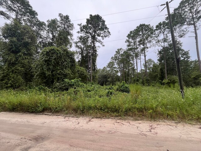 Listing photo 3 for 0 Hickory Nut Trl, Satsuma FL 32189