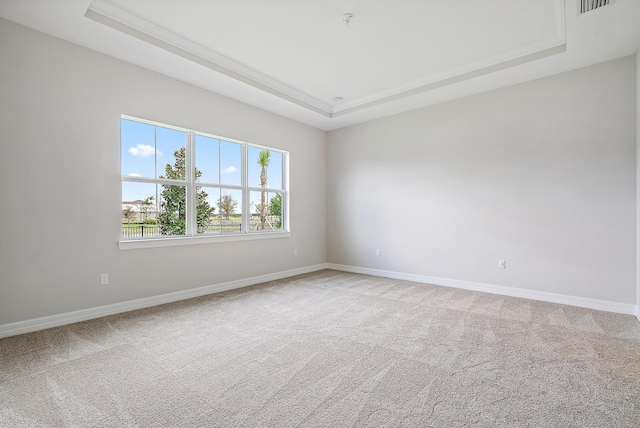 carpeted spare room featuring a raised ceiling