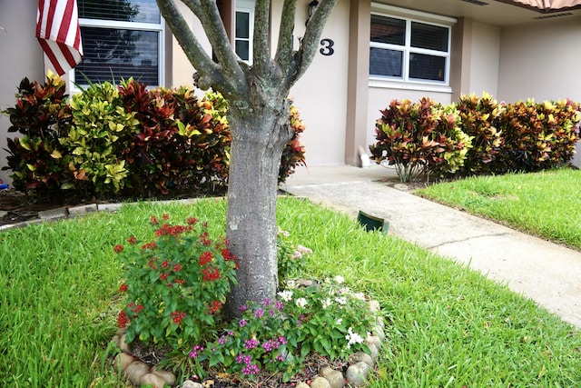 property entrance featuring stucco siding