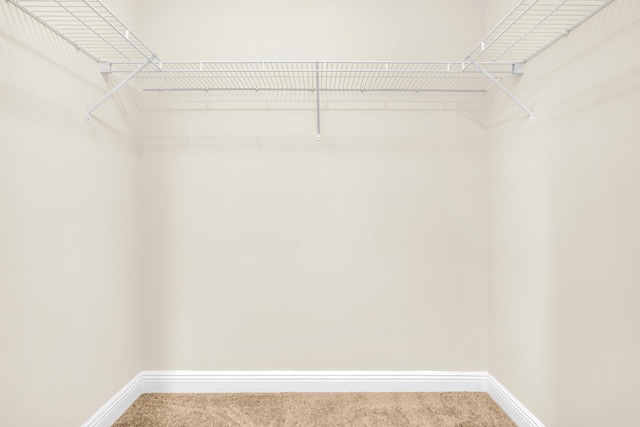 spacious closet with carpet flooring