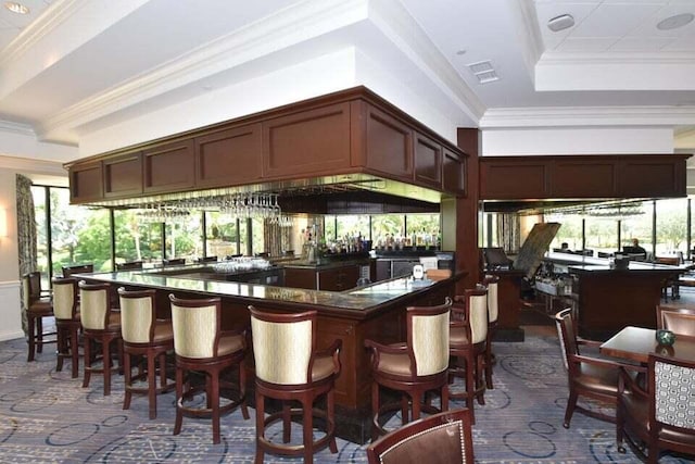 bar with a tray ceiling, plenty of natural light, dark brown cabinetry, and crown molding