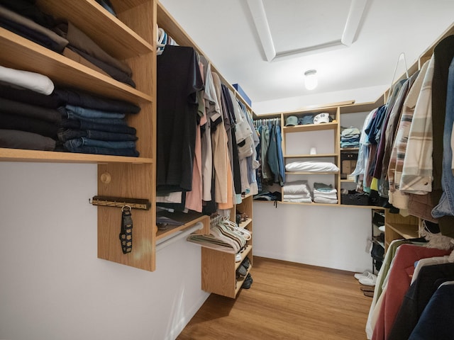 walk in closet with light wood-type flooring