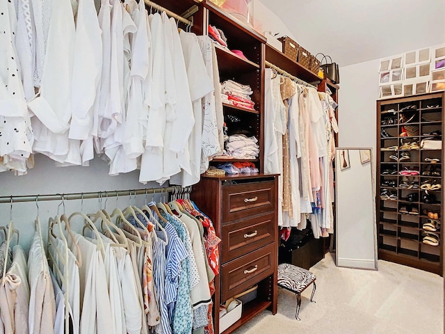 spacious closet featuring light colored carpet