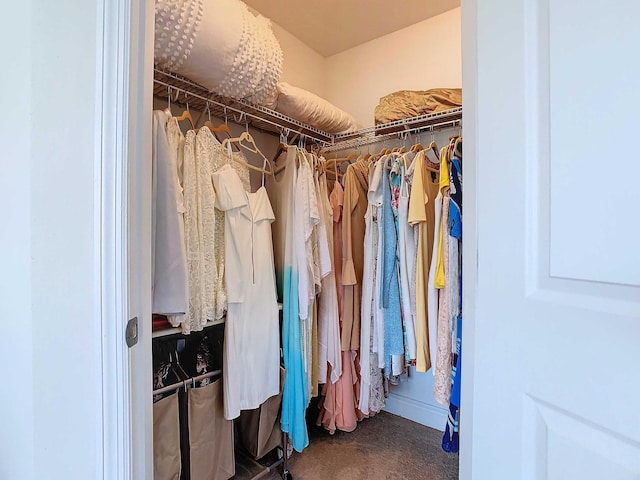 spacious closet featuring carpet