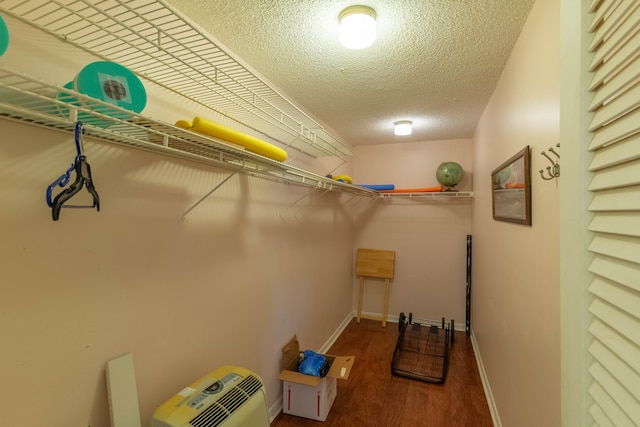 spacious closet with wood-type flooring