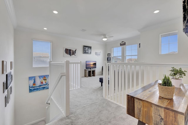 hall featuring carpet flooring and ornamental molding