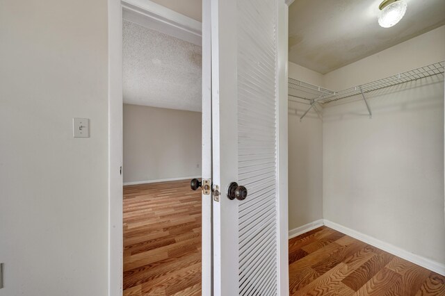 spacious closet featuring wood-type flooring