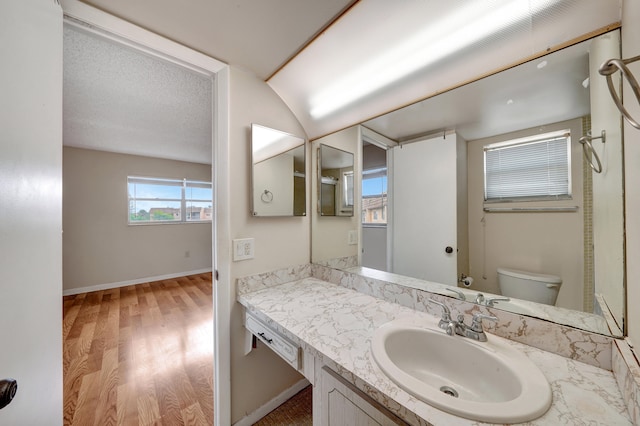 bathroom featuring toilet, vanity, and wood-type flooring