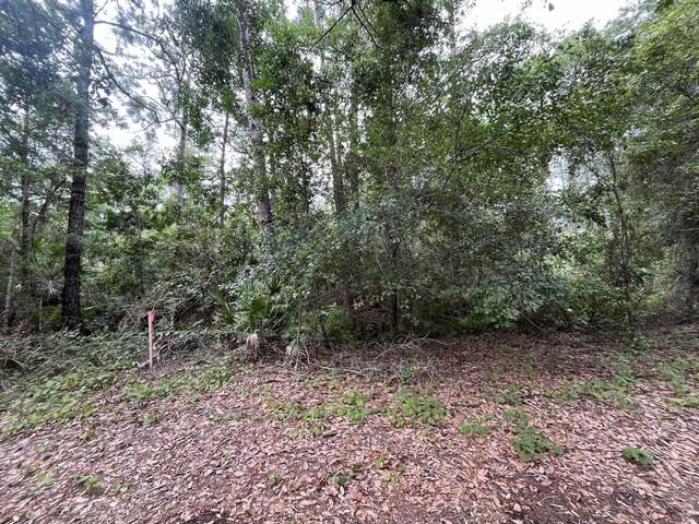 223 Ward Ave, Crescent City FL, 32112 land for sale