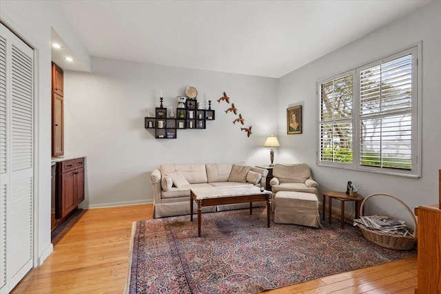 living room with light wood-type flooring