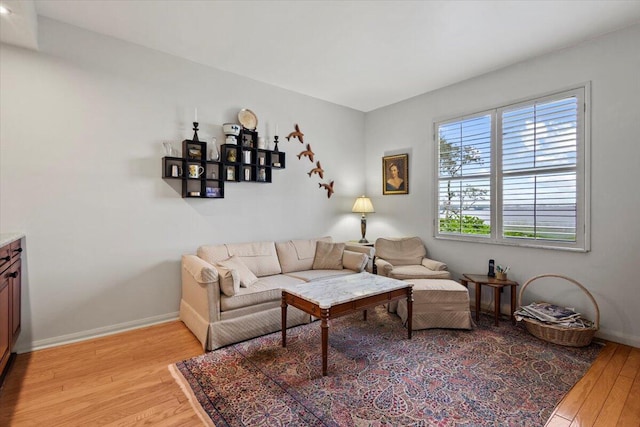 living room featuring light hardwood / wood-style flooring