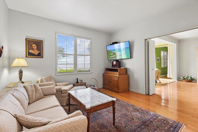 living room featuring hardwood / wood-style floors