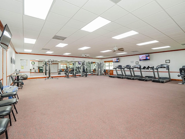 workout area with ceiling fan, a paneled ceiling, and carpet flooring