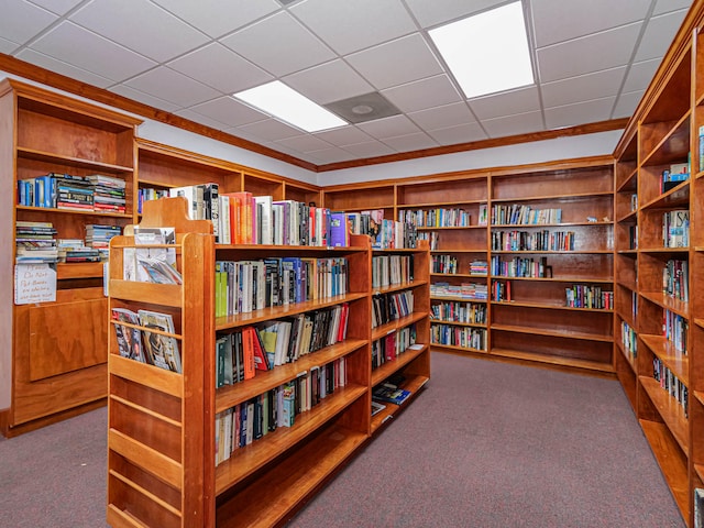 interior space with dark carpet