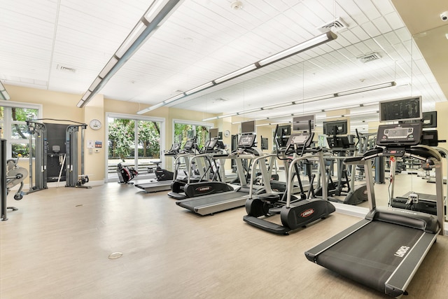 exercise room featuring hardwood / wood-style floors and a healthy amount of sunlight