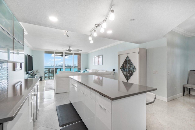 kitchen featuring ceiling fan, track lighting, ornamental molding, and white cabinetry