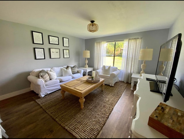 living room with wood-type flooring