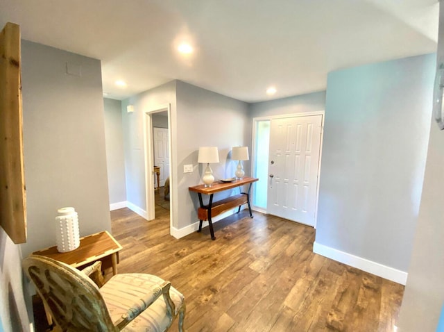 entrance foyer with wood-type flooring