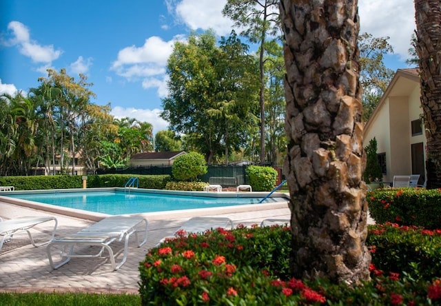 view of pool with a patio area